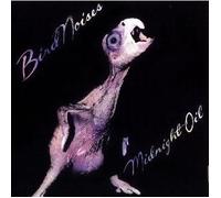 Midnight Oil – Bird Noises – 1980