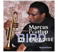 Printup Marcus - Bird of Paradise