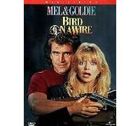 Comme un oiseau sur la branche - DVD Zone 1 DVD