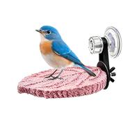 Bird Perch - 13.5×9.5cm Suction Cup Parrot Resting Stand Tray, Frosted Bird Cage Perch for Conure Parakeet Cockatiel Cockatoo Lovebird Finch, Claw & Beak Sharpening Cage Accessory