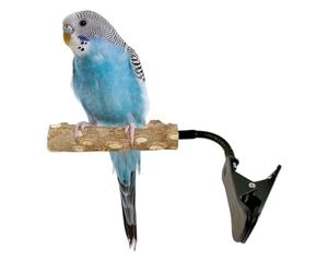 Bird Perch, Clip on Wooden Interactive Standing Perch Stand for Cage, Parakeet Bird Perrch for Finch Lovebirds African Grey Cockatiel Conure Mynah Training Resting Home Indoor Outdoor Yard Use