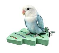 Bird Perch - Enclosure Horizontal Platforms, Aviary Level Shelves, Habitat Broad Steps | Coop Square Benches Feathered Pet Bar Taming Household Parrots Grasskeets for Smoothing Talons on Podi