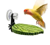 Bird Perch Stand, Suction Cup Tray, 5.31x3.74 inches Compact Tray with Sturdy Build, Reliable Resting Accessory, Modern Aviary Tool with Sleek Style, Outdoor Seat for Parrot and Cockatiel