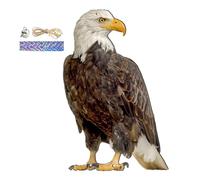 Bird Repel Scarecrow - PP 60cm Rope | 2D Owl Scarecrow Pendant, Bird Scarer Bell Hanging Decor, Fake Birds Device | for Patio Balcony Garden Yard Outdoor Decoration Birds Control