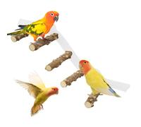 Bird Shower Perch, Conure Climbing Ramp, Suction Cup Bird Stand, Space-Saving Window Perch, Non-Slip Design (1 Pack, Transparent), for Parrots, Parakeets, Cockatiels
