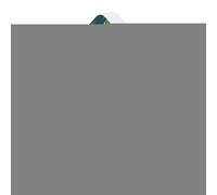 Bird Sound Box - Minuterie activée par le mouvement, appareil de musique à bruit blanc, gadget apaisant, outil de relaxation portable | pour chambre à coucher, jardin, maison, salle de bain, yoga, spa