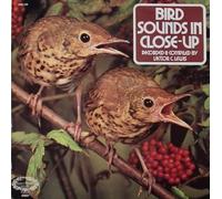 Bird Sounds In Close Up - Soundtrack / Victor C. Lewis LP