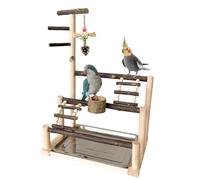 Bird Stands Parrots, Parrot Play Gym, Interactive Bird Perch, Parakeet Playground Stand, Multi- Design, Ladders and Toys, Ideal for Pet Birds, Cockatiels, Parakeets