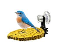 Bird Suction Perch, Window Mount Resting Stand, Parrot Conure Cage Activity, Parakeet Cockatiel Cockatoo Play Perch Holder, Indoor Bird Viewing Seat 13.5x9.5cm 5.31x3.74 inches