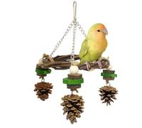 Bird Swing - Stable Wooden Perch Stand, Natural Chewing Climbing Textures, Heavy Duty Hanging Suspension Hooks, Rust-Resistant Metal Frame | Hummingbird Swing for Parrot Sparrow Pet Playground