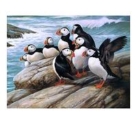 Bird Theme,1000-piece Paper Puzzle,Adult and Children's Toys and Stress Relief Games,50x70cm