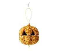 Bird Treats - Pumpkin Shape Natural Chew Toy, Edible Snack, Hanging Cage Accessory, Material | for Chewing, Play, Enrichment, Mental Stimulation, and Healthy Snacking of Lovebirds, Canaries,