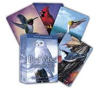Bird Vibes Meditation Cards by Catherine C. Catherine C. Bastedo Bastedo Catherine C. Catherine C. Bastedo Bastedo (Auteur)