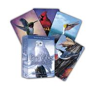 Bird Vibes Meditation Cards: Spiritual Insight Through Birds (A 54-Card Deck and Guidebook)