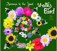Bird, Wallis - Blossoms in The Street [Import]