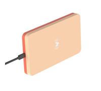 Bird Warmer, Constant Temperature Quiet Heat Plate, Parrot Heater