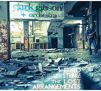 Bird With Strings: Lost Arrangements