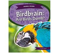 Birdbrain: Are Birds Dumb?