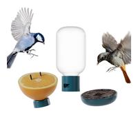 Birdbuddy Ensemble de Nutrition 3 en 1 - Accessoires d'extérieur pour Oiseaux avec Fontaine à Eau, Piquet à Fruits et mangeoire à gelée - Durable, Fixation Facile pour nichoir à Oiseaux