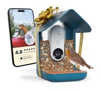 Birdbuddy Mangeoire intelligente non solaire pour oiseaux avec caméra - Identification des espèces d'oiseaux AI, photos 5 Mp, caméra vidéo HD 2K en direct, charge alimentée par batterie, mise au point