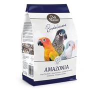 Birdelicious Cotorras Amazonia