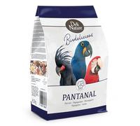 Birdelicious Perroquets Pantana