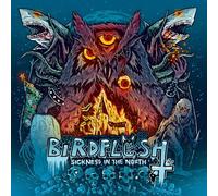 Birdflesh - Sickness In The North