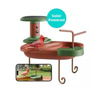 Birdfy Bain d'Oiseaux Connecté avec Caméra Solaire Full HD / IA Intégré