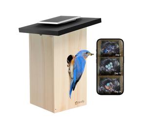 Birdfy Ebony Lite - Nichoir Connecté avec Caméra, Panneau Solaire et Reconnaissance d’Oiseaux par IA - EPPAMBNI8802110
