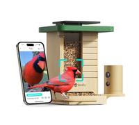 Birdfy Mangeoire intelligente pour oiseaux avec caméra à énergie solaire, vidéo au ralenti et aperçu nocturne, identifie plus de 6000 espèces à vie gratuite, idéale pour l'observation des oiseaux en