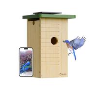 Birdfy Nichoir intelligent avec caméra à énergie solaire, vidéo en direct 1080HD et vision nocturne pour enregistrement 24h/24, 7j/7, détection et notification automatiques, cadeau idéal pour les