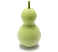 Birdhouse Graines de courge - Lagenaria Siceraria