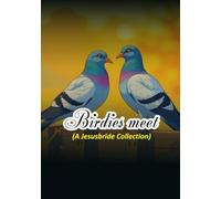 Birdies Meet (Cartoon Version)