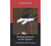 Birding hotspots in the Algarve: At the heart of Ria Formosa