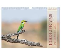 Birdlife - Vögel im südlichen Afrika (Wandkalender 2026 DIN A4 quer), CALVENDO Monatskalender: Tauchen Sie ein in die Vogelwelt des südlichen Afrikas.