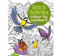 Birds & Butterflies Colour by Numbers