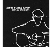Birds Flying Away