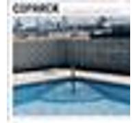 Birds happiness and still not worried