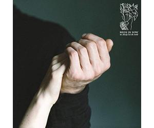 Birds in row - We already lost the world