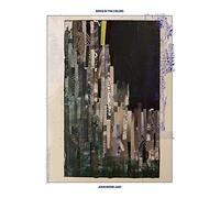 John Moreland – Birds in the Ceiling – Vinyle LP