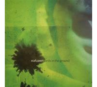 Birds In The Ground Vinyle
