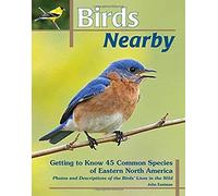 Birds Nearby: Getting To Know 45 Common Species Of Eastern North America