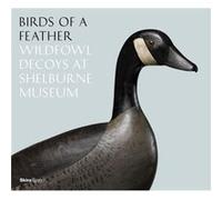 Birds Of A Feather Thomas Denenberg, Kory W Rogers (Auteur)