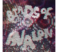 Birds Of Avalon [Analog]