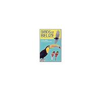 Birds Of Belize