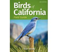 Birds Of California Field Guide
