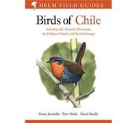 Birds Of Chile: Including The Antarctic Peninsula, The Falkland Islands And South Georgia (Helm Field Guides) (Paperback) Alvaro Jaramillo, Peter Burke (Auteur)