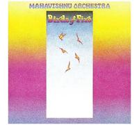 Birds Of Fire [12 Inch Analog]