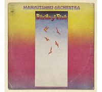 Birds of Fire