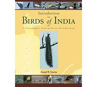 Birds Of India